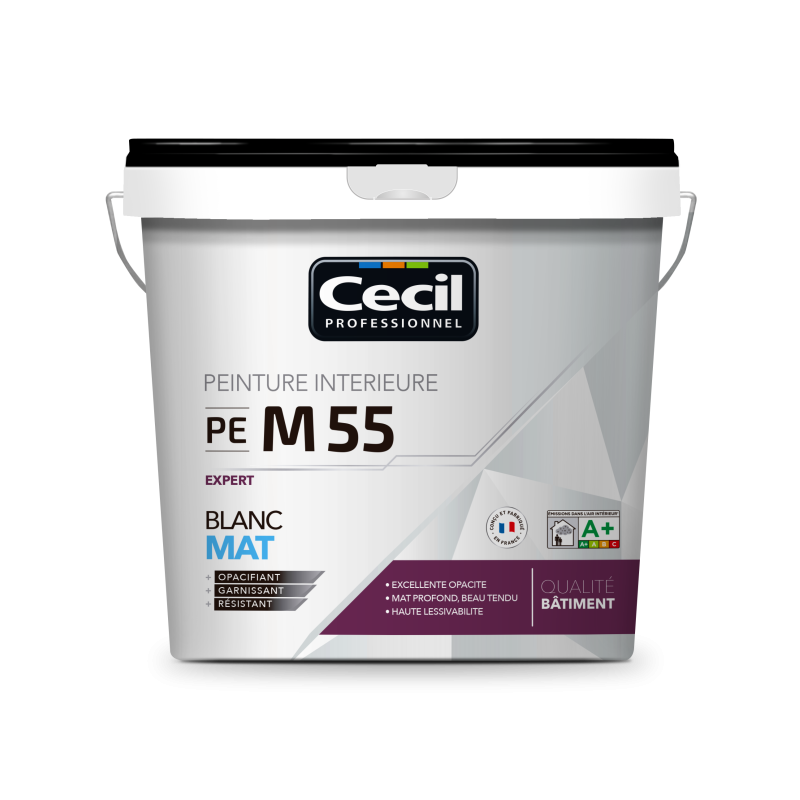 PEINTURE DE FINITION QUALITE PRO EXPERT 55 PEINTURE DE FINITION QUALITE PRO EXPERT 55