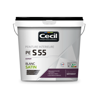 PEINTURE DE FINITION QUALITE PRO EXPERT 55