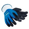 GANT UNILITE 7710F | UVEX HECKEL FRANCE