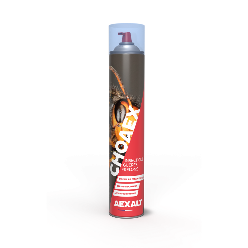 INSECTICIDE GUEPES FRELONS CHOAEX
